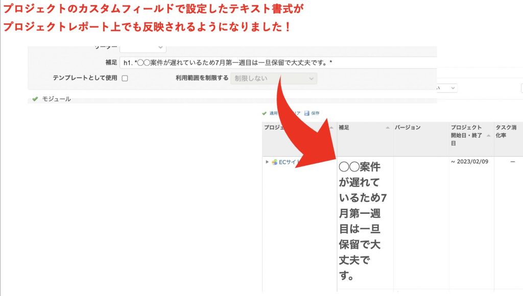 プロジェクトレポート_テキスト書式反映