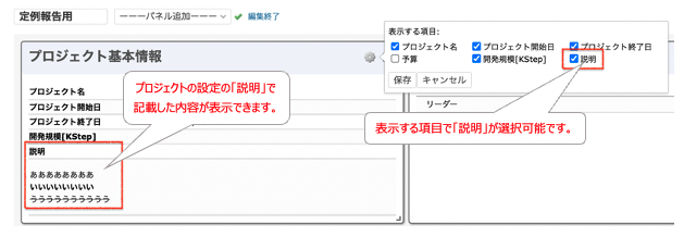 プロレポ _設定の説明表示